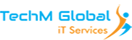 TechM Global IT Services Pvt Ltd